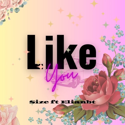 Like You - Single