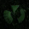 HVL - Aura
