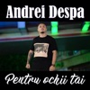 Pentru ochii tai - Single