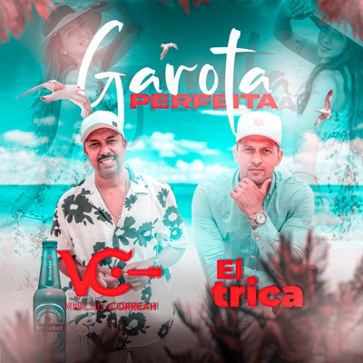 Garota Perfeita - Single
