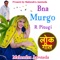 Bna Murgo R Pitugi - Mahendra Aamteda lyrics