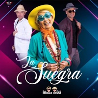 La suegra esta contenta (feat. Bandy Ricardo Criollo House) - Single - Ricardo Criollo House