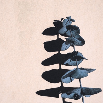 Love Will Tear Us Apart - Single