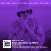 Falling into Flames - Single