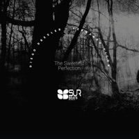 The Sweetest Perfection - Single - Diego Drexler & Fernando Picon