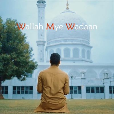 Wallah Mye Wadaan (feat. Asif Mir) - Single