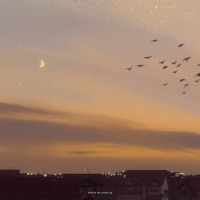 Where We Grew Up - Single - Laffey & luv pug