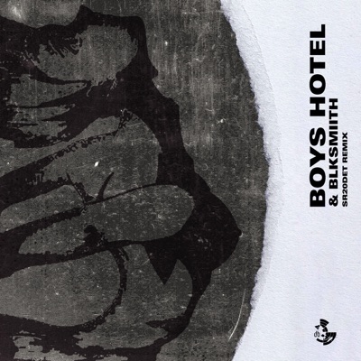 SR20DET Remix (feat. Boys Hotel) - Single