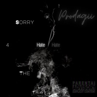 Sorry 4 the Hate - Prodagii