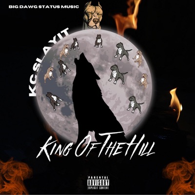 King of the Hill - Single