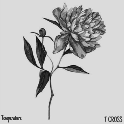 Temperature (feat. T Cross) - Single