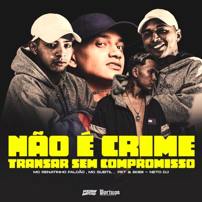 Não É Crime Transar Sem Compromisso (feat. Mc Subtil) - Single