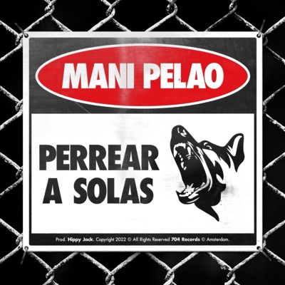 Perrear a Solas - Single