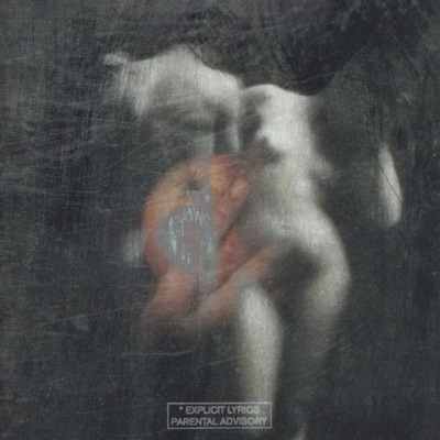 Paradise (feat. Punxh, Mikke & Bino.) - Single