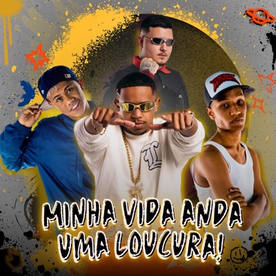 Minha Vida Anda Uma Loucura (feat. Yuri Redicopa, Mc Meno Dani, Dj Krauss & Dj Pandisk) - Single