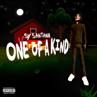 One of a Kind - Single - Sy Santana