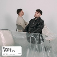Please Don't Cry (feat. Saint Miles) - Single - ALLAN CHARI & Saint Miles