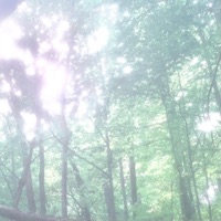 CASSANDRA COMPLEX (feat. MAJZKLUANI) - Single - STZYWENDIGO