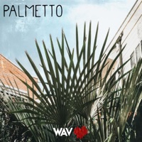 Palmetto (feat. Big Hack & Dami Hendrix) - Single - Wav Heart