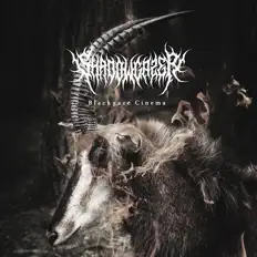 Poslechněte si interpreta Shadowgazer, sledujte hudební videa, přečtěte si životopis, podívejte se na data turné a další informace.