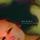 Iris DeMent - Not With Deserters