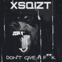 Don't Give a Fuck - Single - Xsqizt