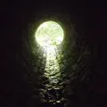 Alone