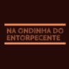 Na Ondinha do Entorpecente - Single