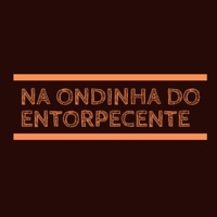 Na Ondinha do Entorpecente - Single - MC VM da ZS & DJ DIGUINHO MANDELÃO