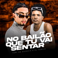 No Bailão Que Tu Vai Sentar - Single - PL Torvic & Dj Yuri da Escócia