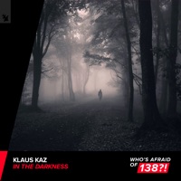 In the Darkness - Single - Klaus Kaz
