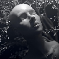 What You Want From Me - Single - NXMVD