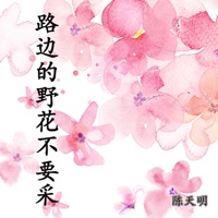 路边的野花不要采 (Live) - Single - 陈天明