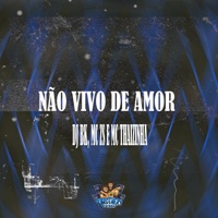 Não Vivo de Amor - Single - DJ BK OFFICIAL, MC ZS & MC Thaizinha