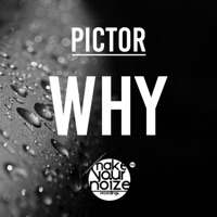 Why - Single - Pictor