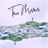 Sounds Like Sander - True Mirror