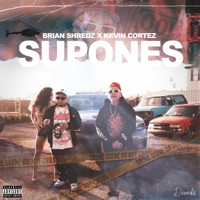 Supones (feat. Kevin Cortez) - Single - Brianshredz