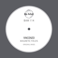 Magnetic Fields - Single - Vincenzo