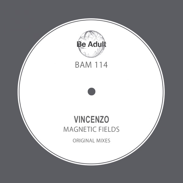 Magnetic Fields - Single
