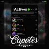 Activos