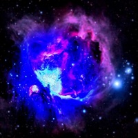 FLA$H - Single - Werby & 3RAZE