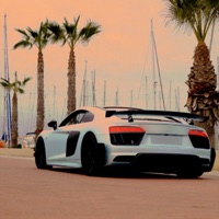 ROLEX - Single - Trap19 Connection