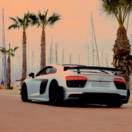 ROLEX Trap19 Connection