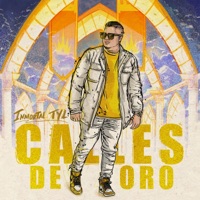 Calles de Oro - Inmortal TYL