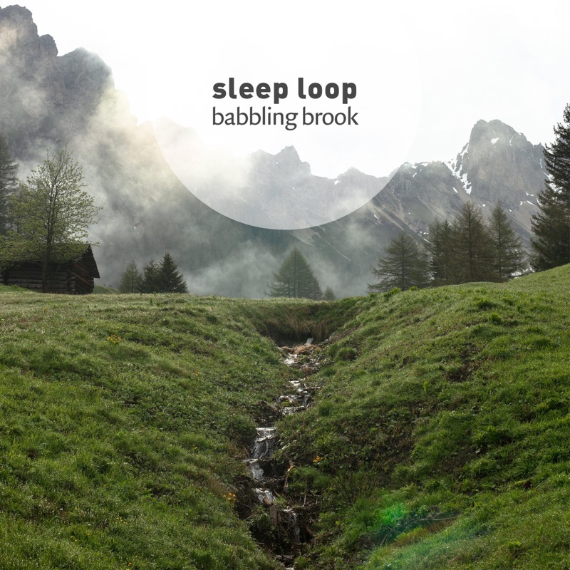 Gentle Forest Stream (Loopable With No Fade)