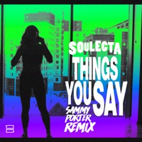 Things You Say (Sammy Porter Remix) - Single - Soulecta