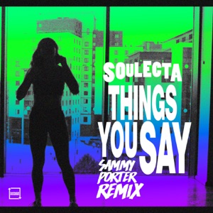 Things You Say (Sammy Porter Remix) - Single