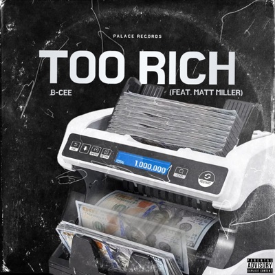 Too Rich (feat. Matt Miller) - Single
