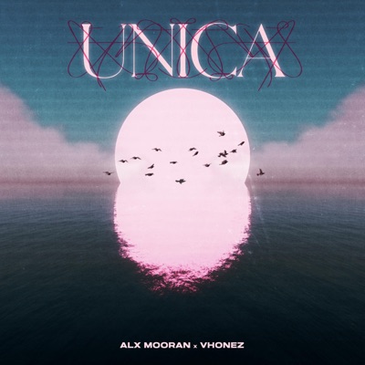 Única (feat. Vhonez) - Single
