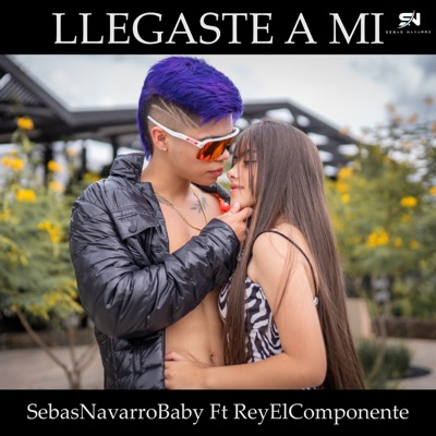 Llegaste a Mi (feat. Rey el Componente) - Single